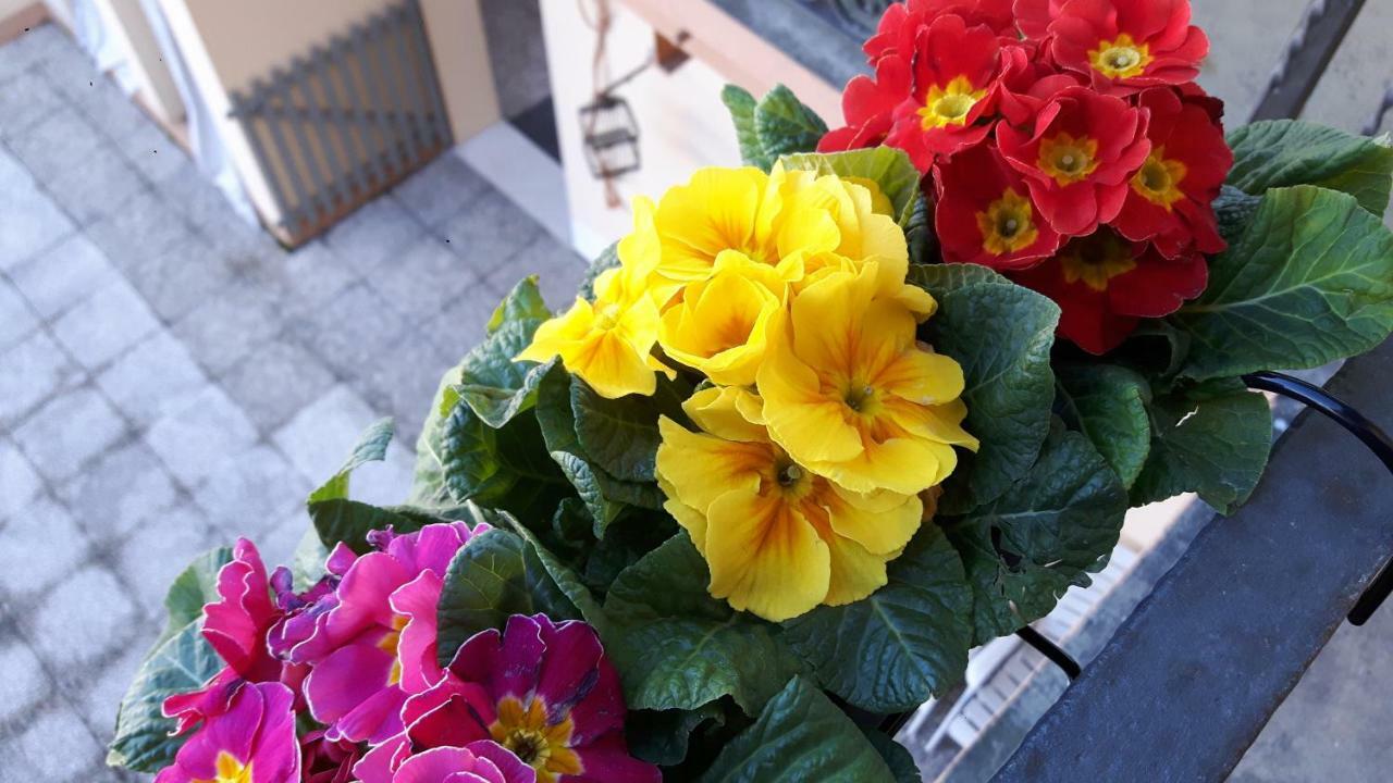 At Home In Cremona Dış mekan fotoğraf